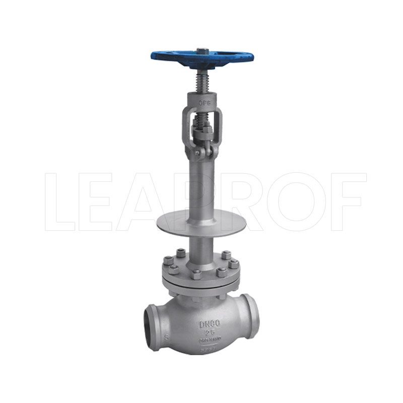 Low-temperature globe valve