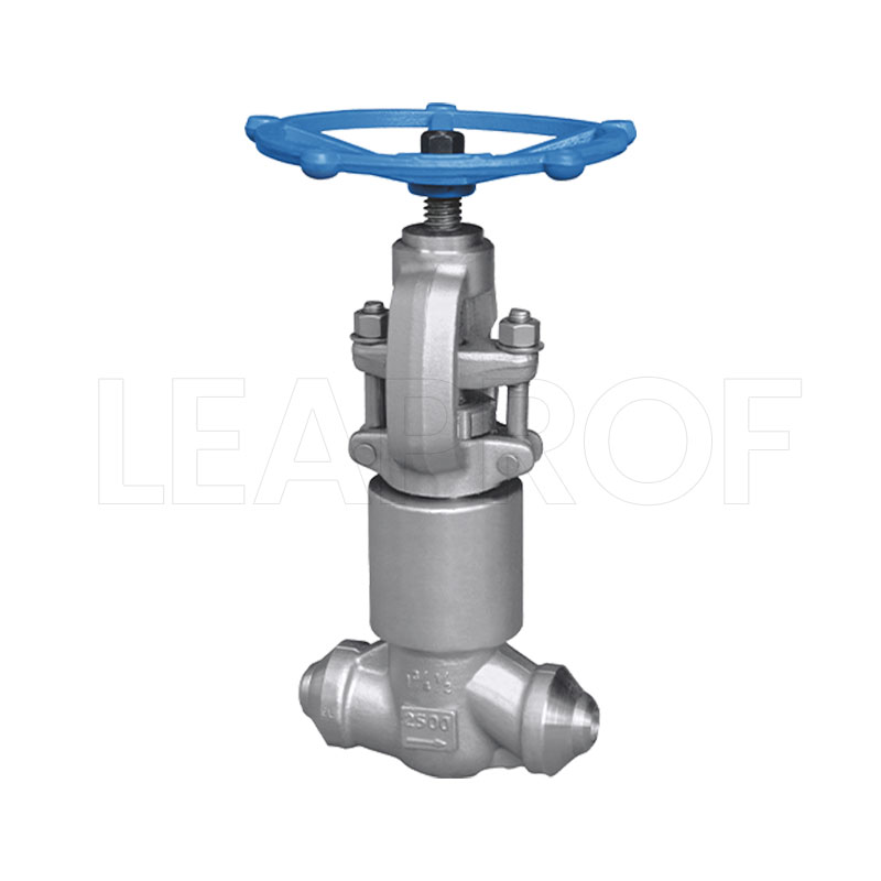 Forged steel globe valve